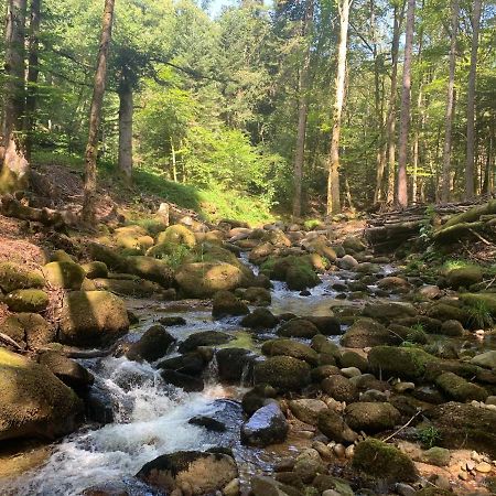 Gite " Oree Des Bois" Vertolaye Екстериор снимка