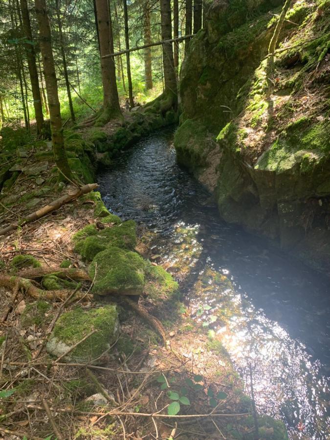 Gite " Oree Des Bois" Vertolaye Екстериор снимка