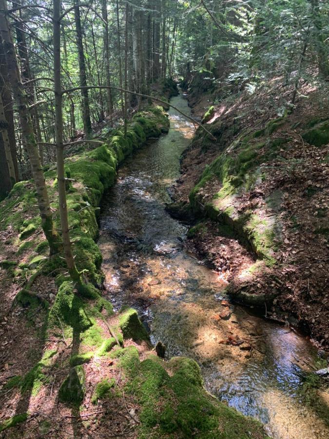 Gite " Oree Des Bois" Vertolaye Екстериор снимка