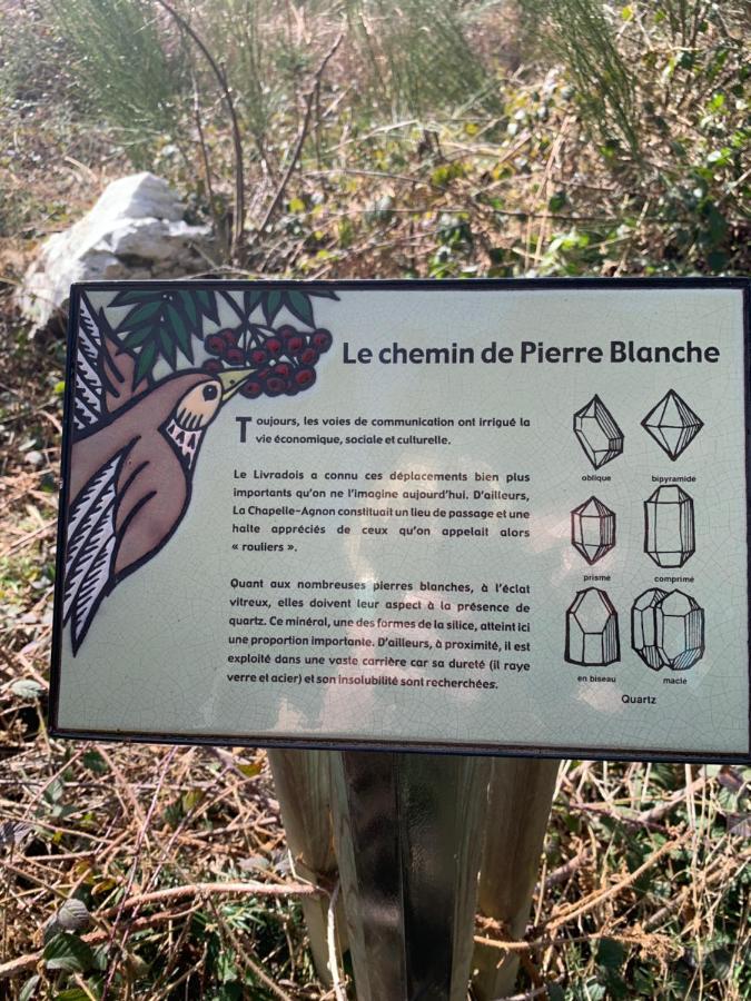 Gite " Oree Des Bois" Vertolaye Екстериор снимка