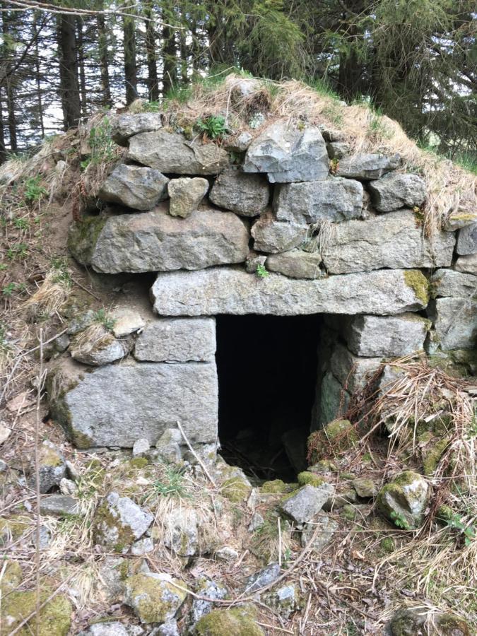 Gite " Oree Des Bois" Vertolaye Екстериор снимка