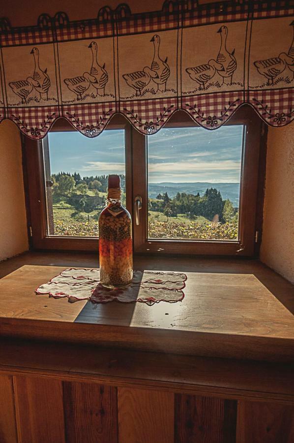 Gite " Oree Des Bois" Vertolaye Екстериор снимка